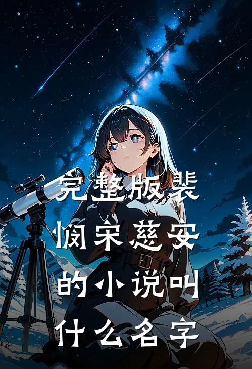 完整版裴悯宋慈安的小说叫什么名字