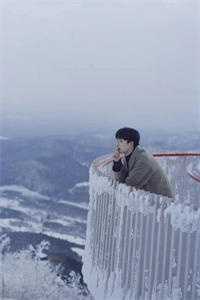 未婚妻助理抢我头等舱，我选择退婚全文