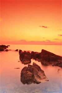 人在合欢宗，开局成为圣女道侣！最新热门小说