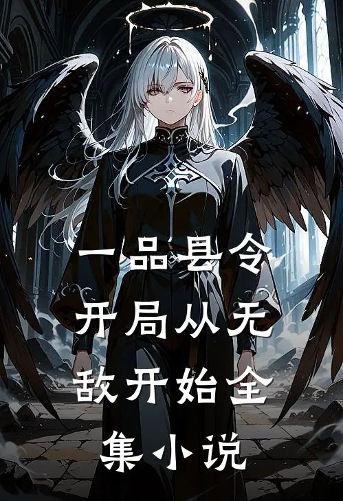 一品县令开局从无敌开始全集阅读