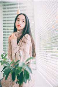 晚风赠别离前文+番外