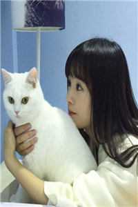 浪漫星河，再无你我最新热门小说