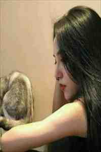 爱如朝露，散若尘风小说免费