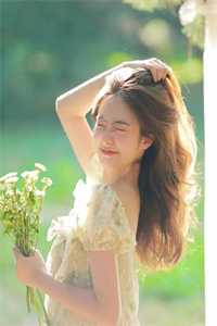 晚风渡我赴山河结局