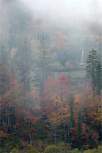 真千金变乡下弃女？嫁首长夜夜吻最新热门小说