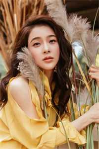 她迎私生子进门，我向西北报道最新热门小说